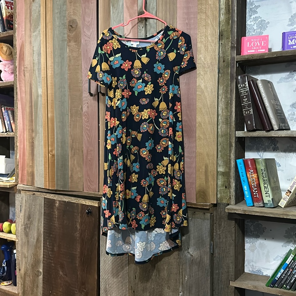 LuLaRoe Carly Dress